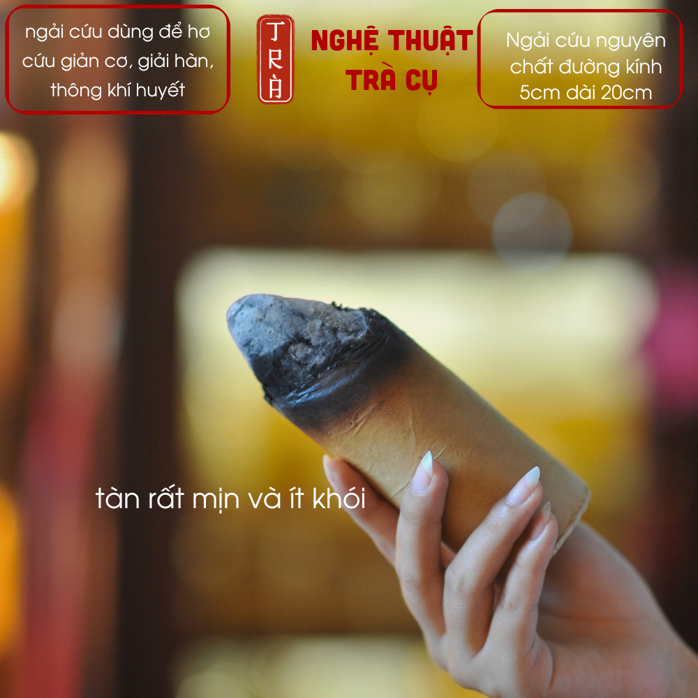 Ngải cứu cây 5:20cm hỗ trợ khai thông kinh mạch phục hồi sức khỏ-e