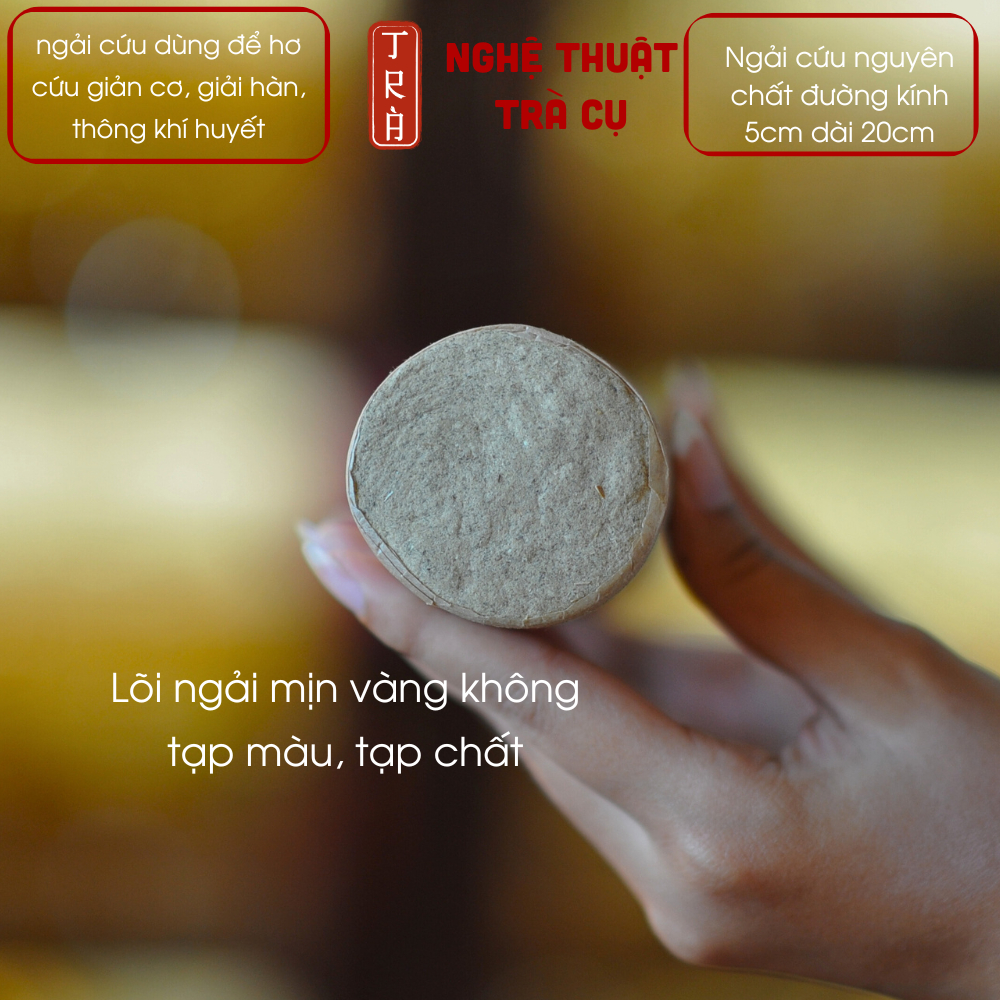Ngải cứu cây 5:20cm hỗ trợ khai thông kinh mạch phục hồi sức khỏ-e