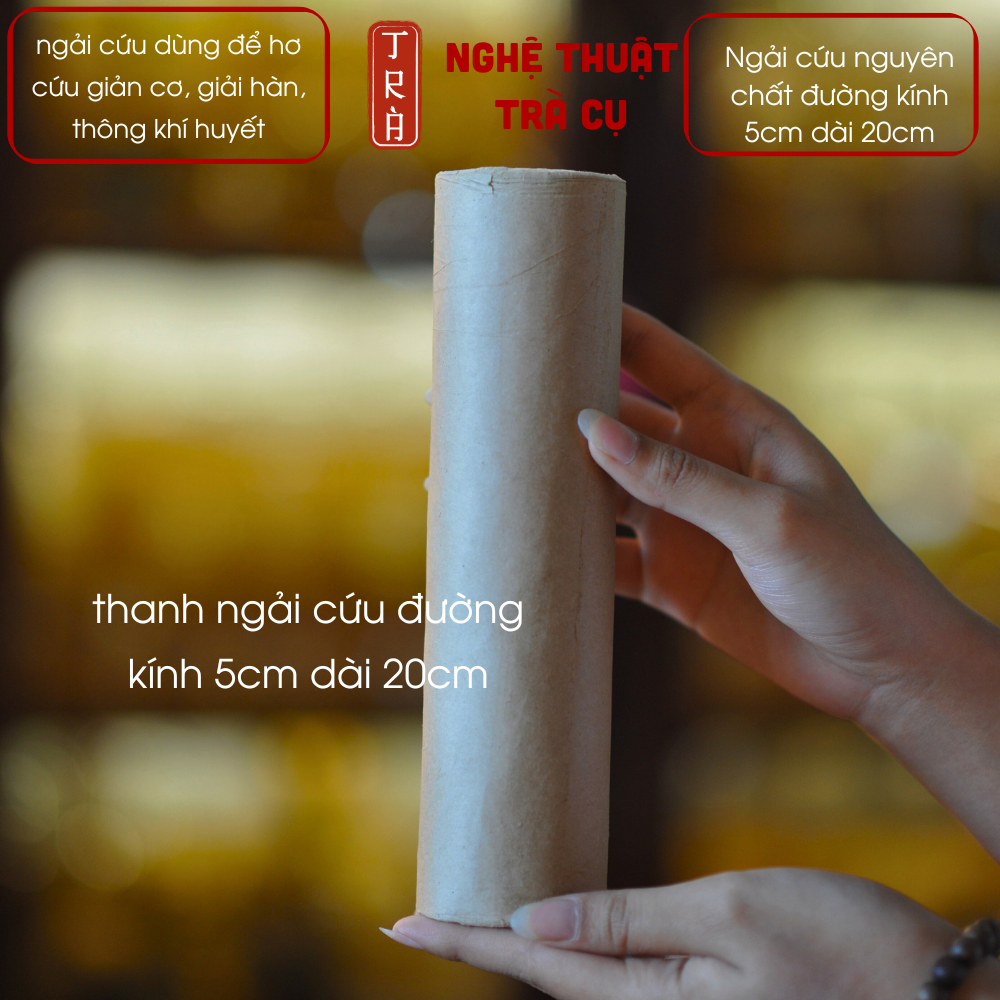 Ngải cứu cây 5:20cm hỗ trợ khai thông kinh mạch phục hồi sức khỏ-e