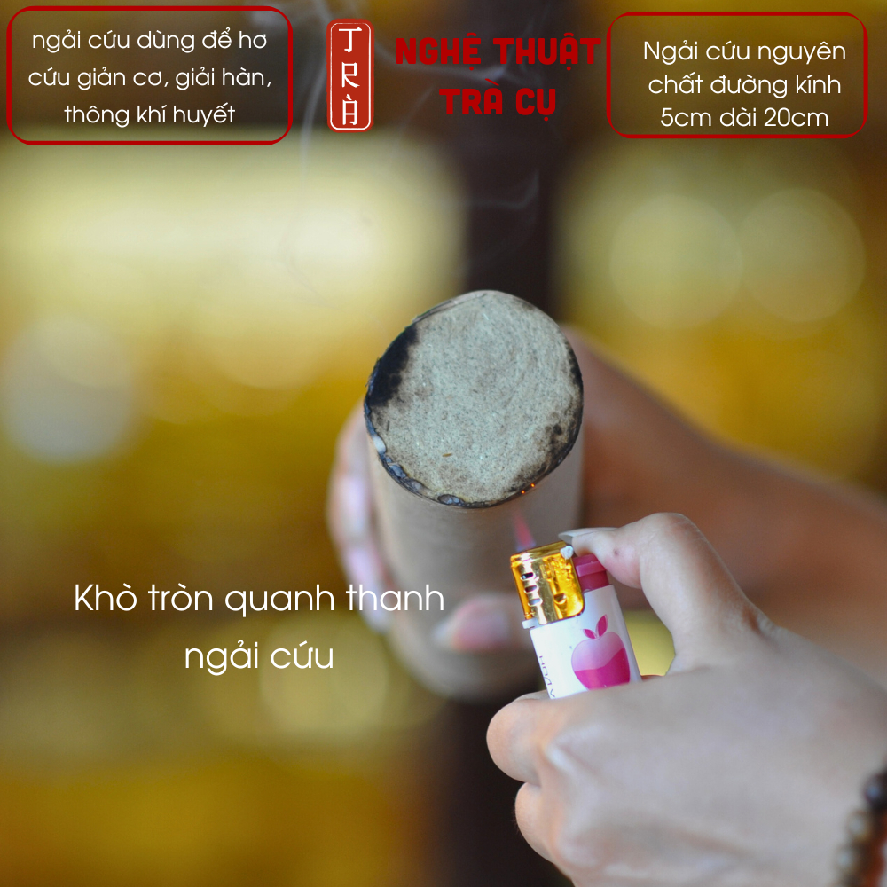 Ngải cứu cây 5:20cm hỗ trợ khai thông kinh mạch phục hồi sức khỏ-e