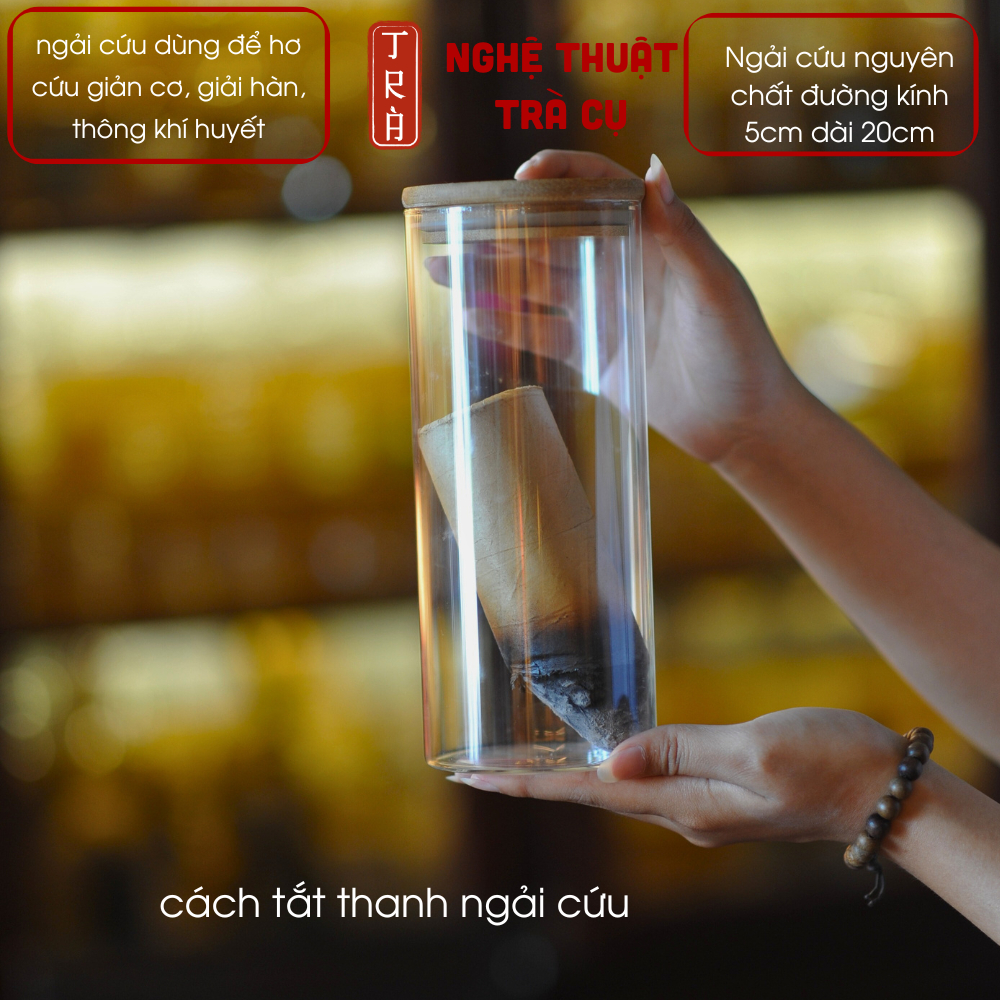 Ngải cứu cây 5:20cm hỗ trợ khai thông kinh mạch phục hồi sức khỏ-e