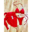 Bikini 2 mảnh bikini 3 mảnh đỏ áo tắm đồ bơi tam giác đỏ( sẵn hàng - hình shop chụp)