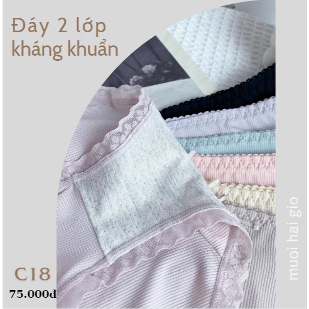 Quần chip nữ cotton nữ co dãn kháng khuẩn c18, Đồ lót 12h
