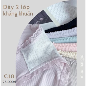 Quần chip nữ cotton nữ co dãn kháng khuẩn c18, Đồ lót 12h