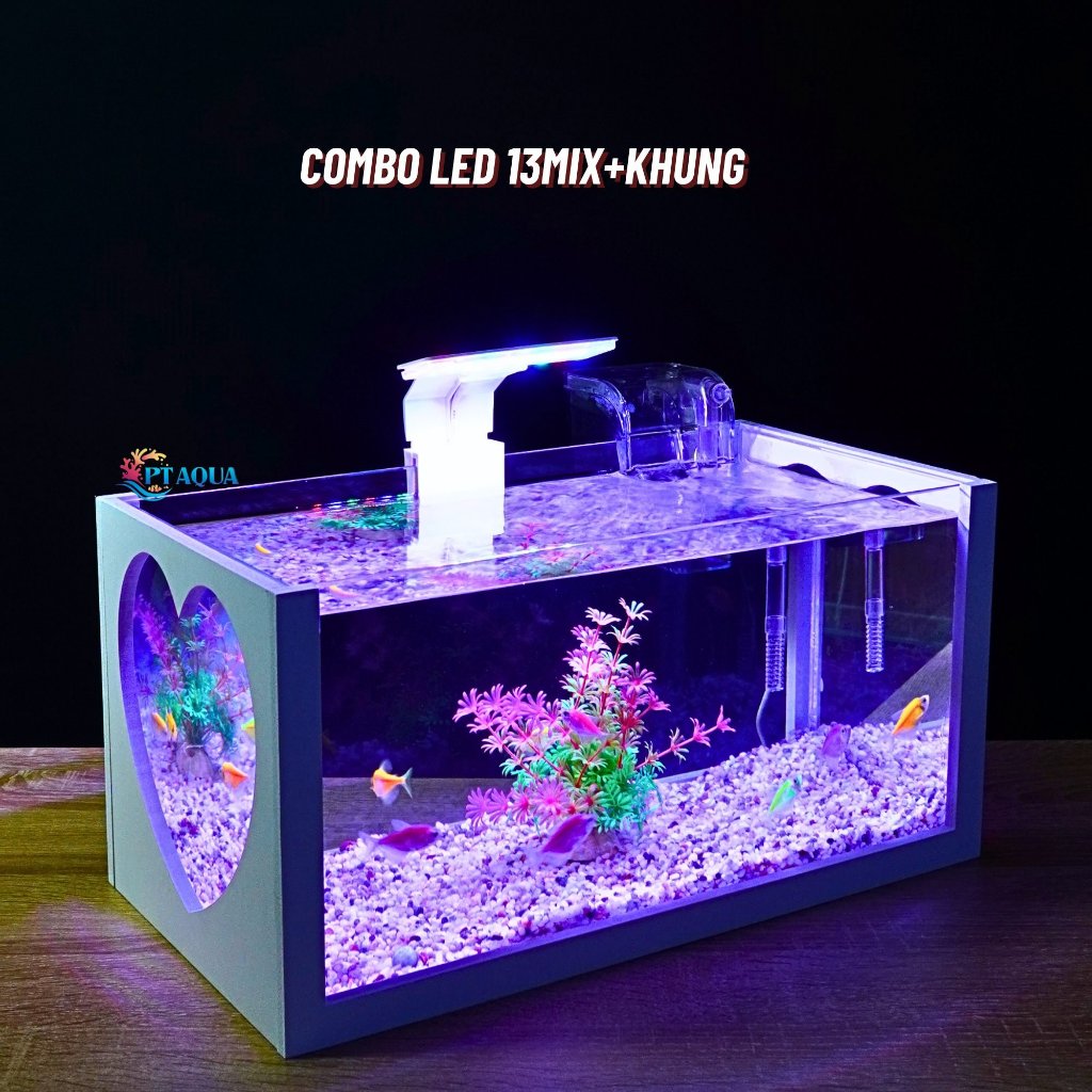 Bể cá mini 40cm COMBO đầy đủ CHỌN MẪU phù hợp nuôi cá cảnh mini để bàn ...