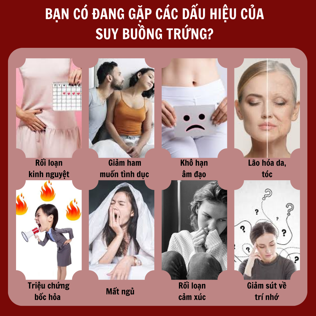 Trà bổ trứng Calen Nature Farm tăng chất lượng phôi trứng, tăng cường chức năng buồng chứng, cân bằng nội tiết tố