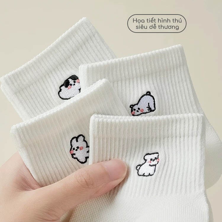 Tất vớ nữ cổ thấp hóa tiết cute dễ thương, chất liệu cotton dệt kim thoáng khí - Ekiu Shop
