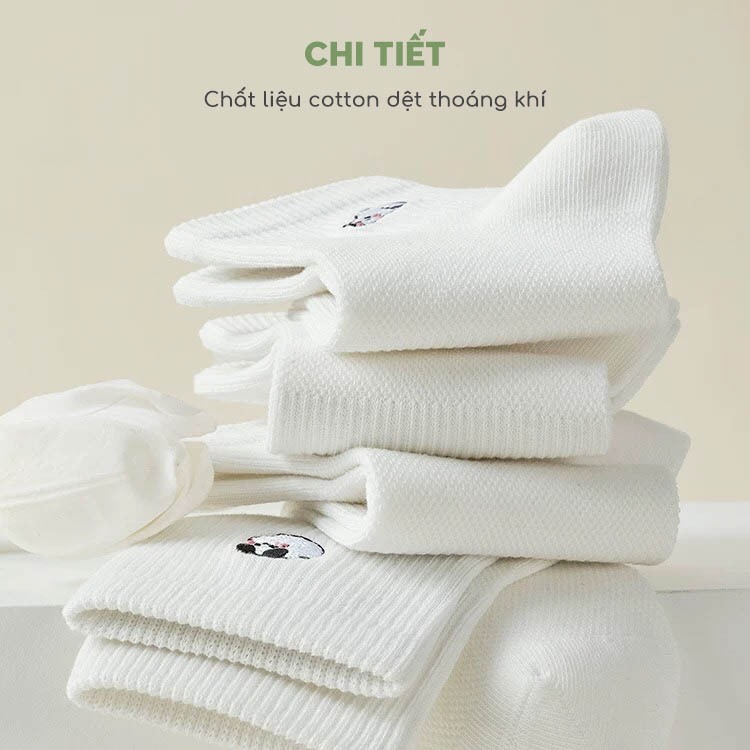 Tất vớ nữ cổ thấp hóa tiết cute dễ thương, chất liệu cotton dệt kim thoáng khí - Ekiu Shop