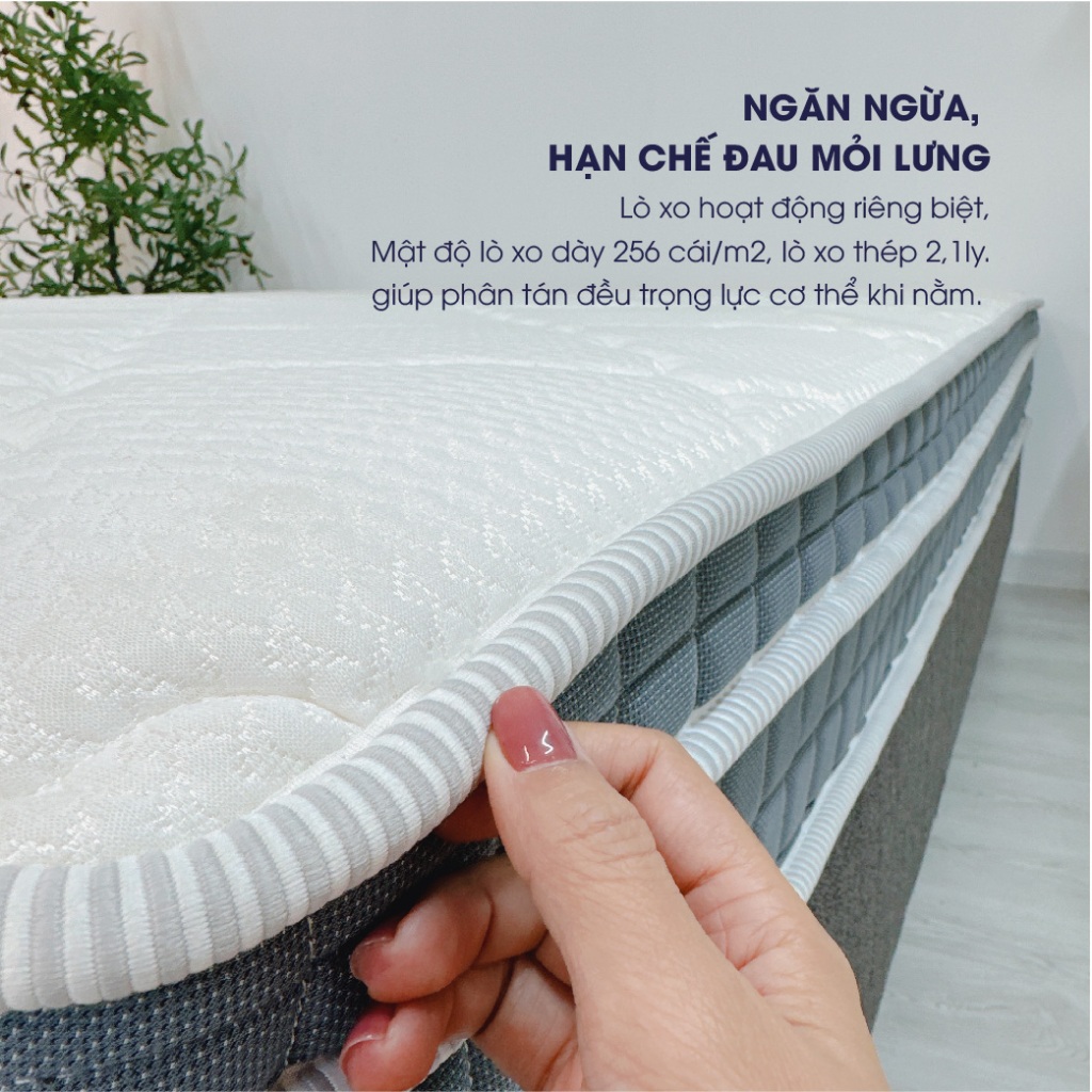 Ảnh Nệm lò xo túi độc lập JOY Changmi Bedding ép chân không tiện lợi, êm ái, nâng đỡ, ngăn đau mỏi lưng. Bảo hành 10 năm 4