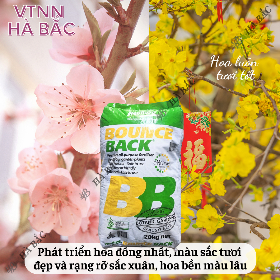 Phân Hữu Cơ viên nén đậm đặc Bounce Back- BB Úc (bao 20KG), dùng cho cây kiểng, hoa lan, bonsai và các loại cây trồng