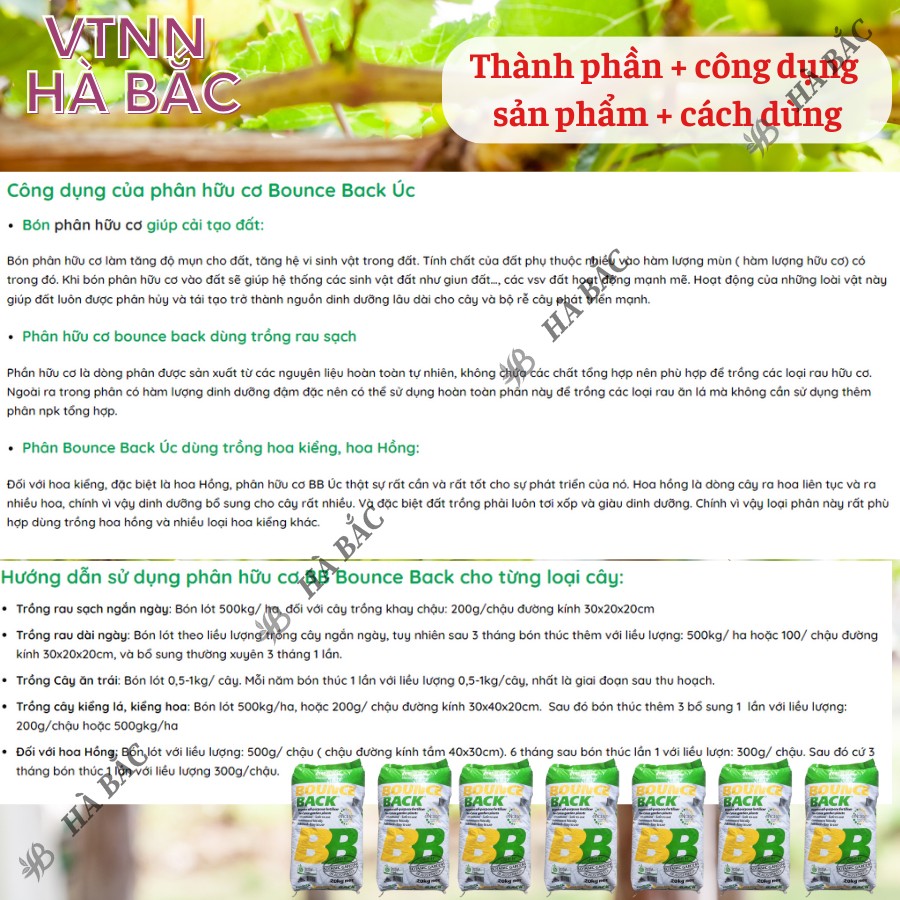 Phân Hữu Cơ viên nén đậm đặc Bounce Back- BB Úc (bao 20KG), dùng cho cây kiểng, hoa lan, bonsai và các loại cây trồng