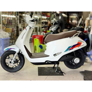 Tem xe điện evo 200 đẹp