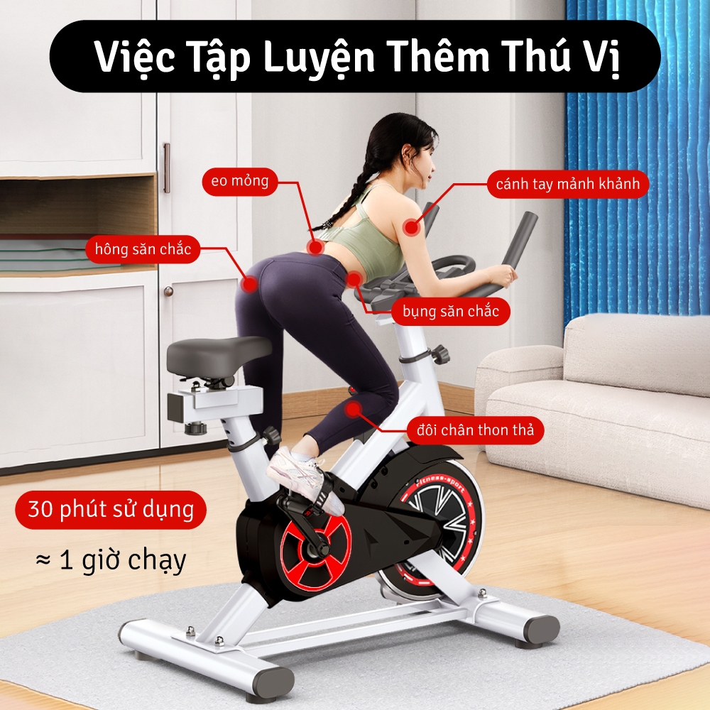 Ảnh BG - Xe đạp tập thể dục tại nhà, máy tập thể dục Fitness, bánh đà phi 35cm ELITE 01 chỉ có giá đỡ 2