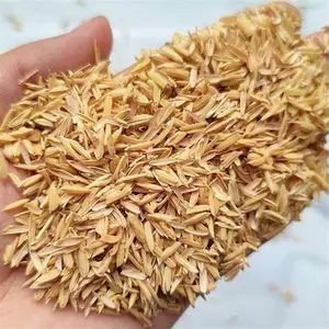 Trấu khô sạch để lót chuồng gà Rutin