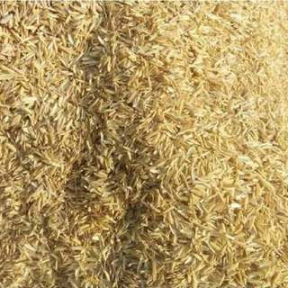 Trấu khô sạch để lót chuồng gà Rutin