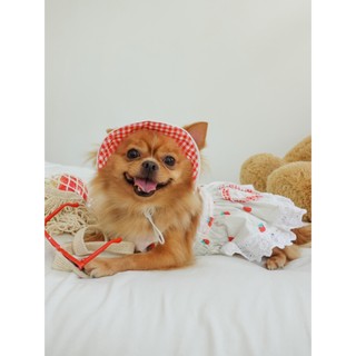 ĐẦM THÚ CƯNG 2 DÂY XOÈ BÈO TRÁI TIM HOẠ TIẾT TRÁI DÂU