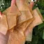 100gr Bánh phồng tôm Cà Mau