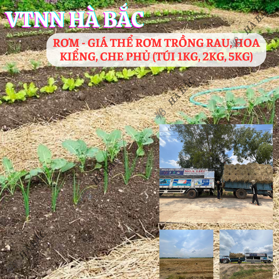 Giá Thể Rơm Khô Dùng Che Phủ Đất, Trồng Rau, Hoa Kiểng, Trang Trí, Vật Liệu Thân Thiện Môi Trường (túi 1kg, 2kg, 5kg)