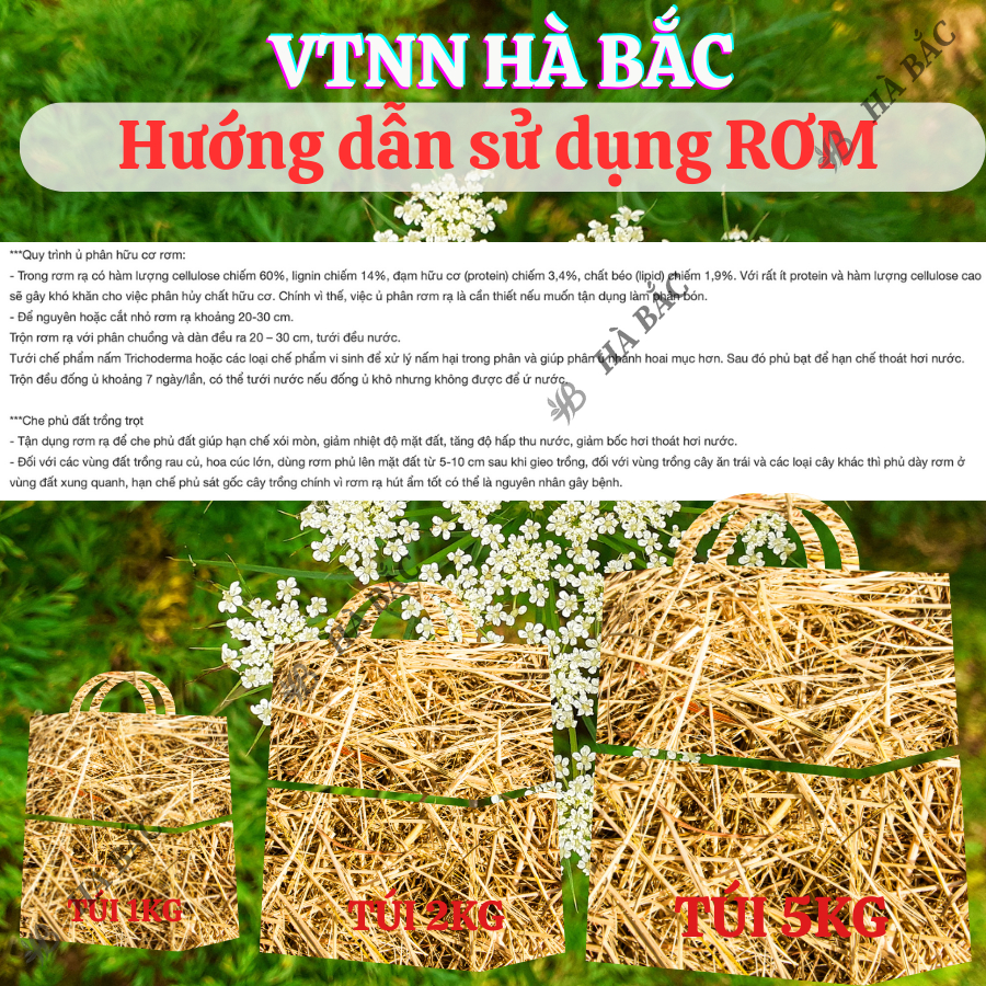 Giá Thể Rơm Khô Dùng Che Phủ Đất, Trồng Rau, Hoa Kiểng, Trang Trí, Vật Liệu Thân Thiện Môi Trường (túi 1kg, 2kg, 5kg)