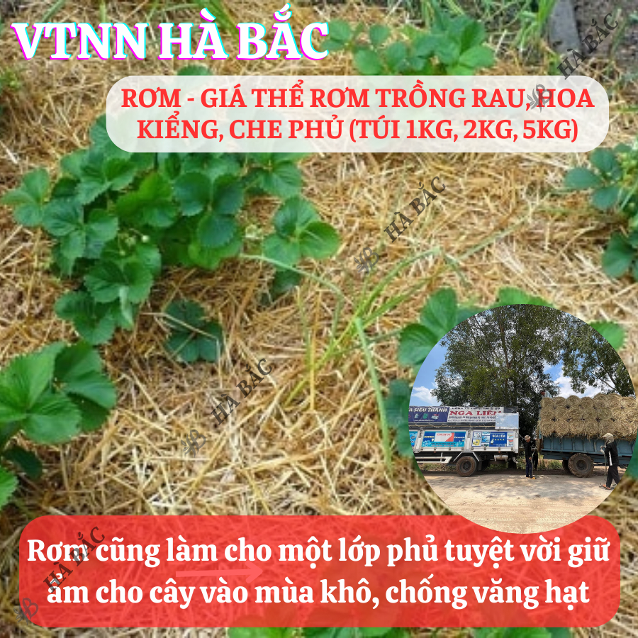 Giá Thể Rơm Khô Dùng Che Phủ Đất, Trồng Rau, Hoa Kiểng, Trang Trí, Vật Liệu Thân Thiện Môi Trường (túi 1kg, 2kg, 5kg)