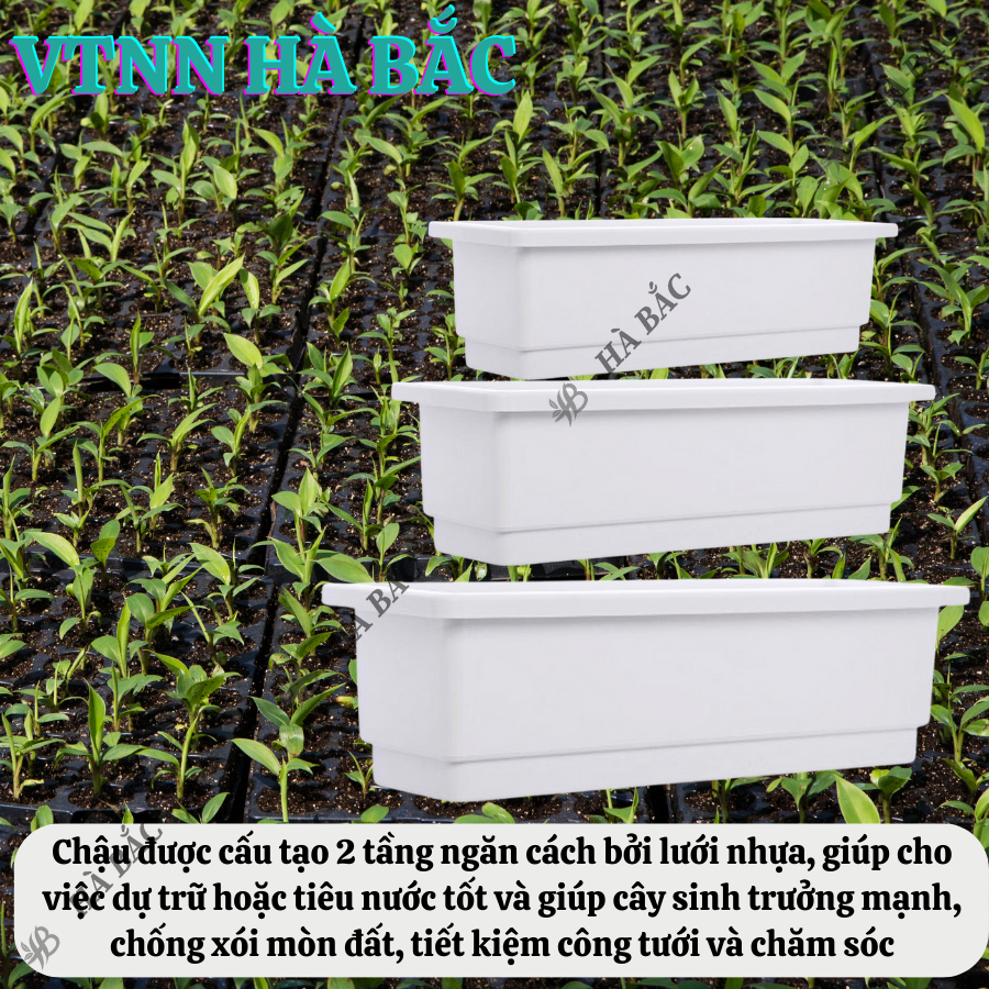 Khay (Chậu) Trồng Rau Sạch, Trồng Hoa Hình Chữ Nhật 48x20x16cm Màu Trắng/Đen, Nhựa Cao Cấp PP