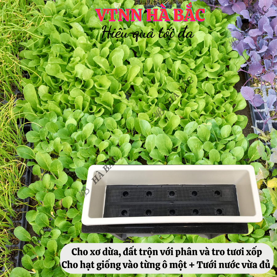Khay (Chậu) Trồng Rau Sạch, Trồng Hoa Hình Chữ Nhật 48x20x16cm Màu Trắng/Đen, Nhựa Cao Cấp PP