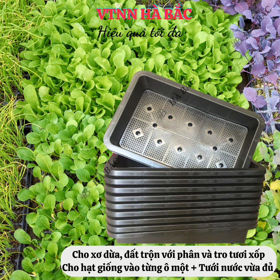 Khay (Chậu) Trồng Rau Sạch Hình Chữ Nhật Siêu Bền 3 MÀU "Đen, Xanh Rêu, Trắng" kích thước 65x42x16H, Nhựa cao cấp PP