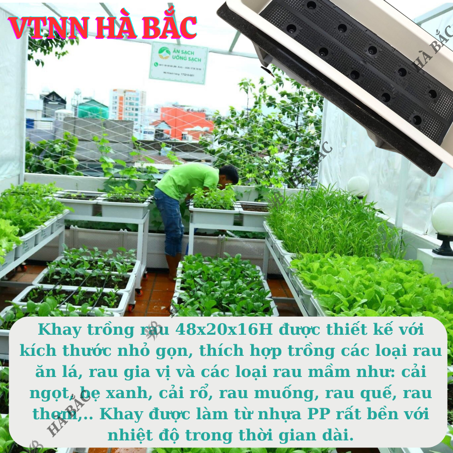 Khay (Chậu) Trồng Rau Sạch, Trồng Hoa Hình Chữ Nhật 48x20x16cm Màu Trắng/Đen, Nhựa Cao Cấp PP