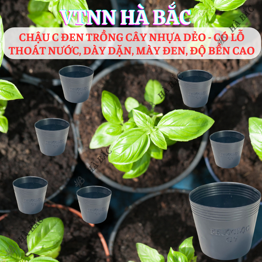 Chậu Nhựa Đen C3, C5, C6, C7, C8, C9, C10, Nhựa Dẻo - có lỗ thoát nước, dày dặn, độ bền cao