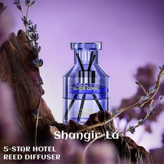 Nước hoa ô tô CHÍNH HÃNG BLACK ODOR an toàn thân thiện lưu hương để ô tô, phòng BO-12