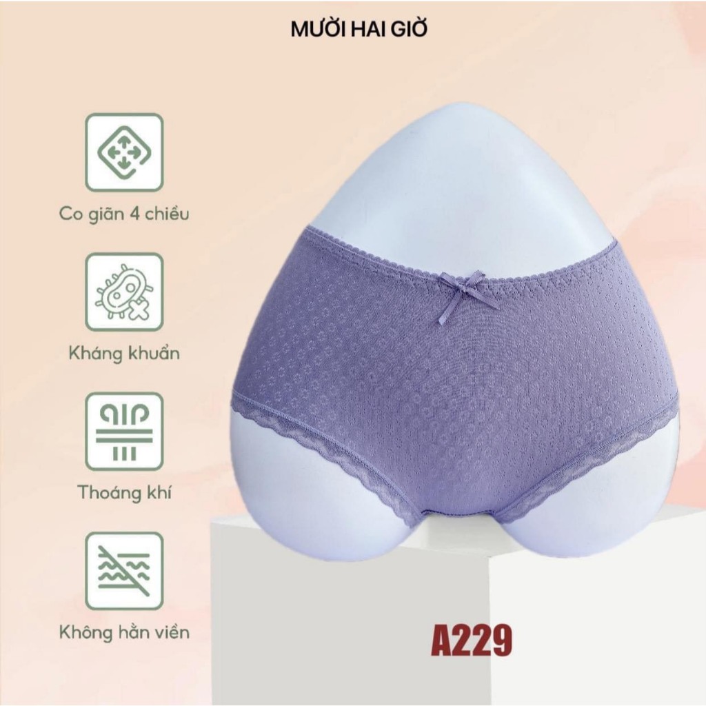 Quần chip nữ vải cotton co dãn mát mẻ A229, Đồ lót 12h
