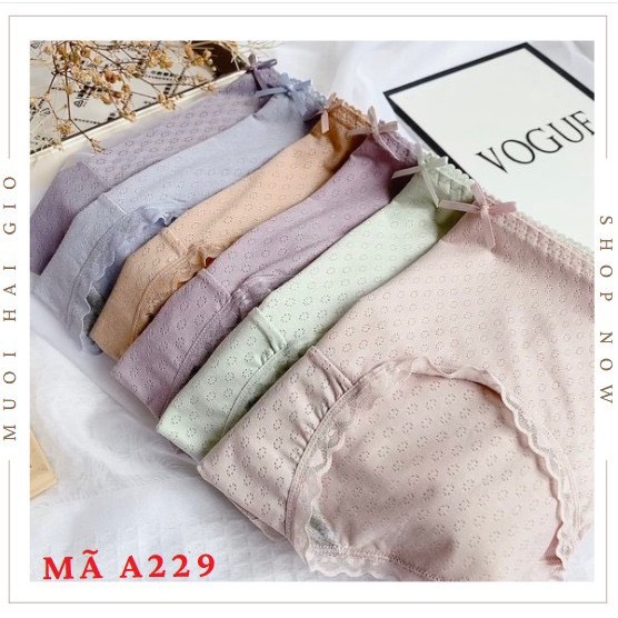 Quần chip nữ vải cotton co dãn mát mẻ A229, Đồ lót 12h