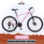 Xe Đạp Học Sinh 4TEEN 2024 Bản Nâng Cấp Mới Nhất 8 Tầng Líp 24 Tấc Độ, Bảo Hành 6 Năm