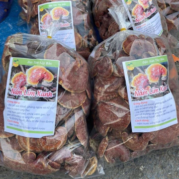 nấm lim xanh 250g -500g