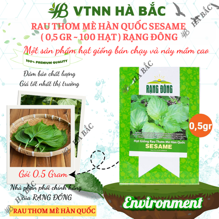 Hạt Giống Rau Thơm Mè Sesame RADO ( Gói 0,5g~100 Hạt) Rạng Đông, Ăn Kèm Đồ Nướng, Lá Thơm, Trồng Quanh Năm