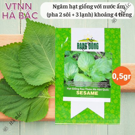 Hạt Giống Rau Thơm Mè Sesame RADO ( Gói 0,5g~100 Hạt) Rạng Đông, Ăn Kèm Đồ Nướng, Lá Thơm, Trồng Quanh Năm