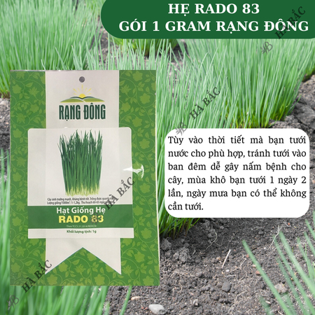 Hạt Giống Hẹ Lá RADO 83 (Gói 1g~300 Hạt) Rạng Đông, Giàu Dinh Dưỡng, Nảy Mầm Tốt, Trồng Quanh Năm