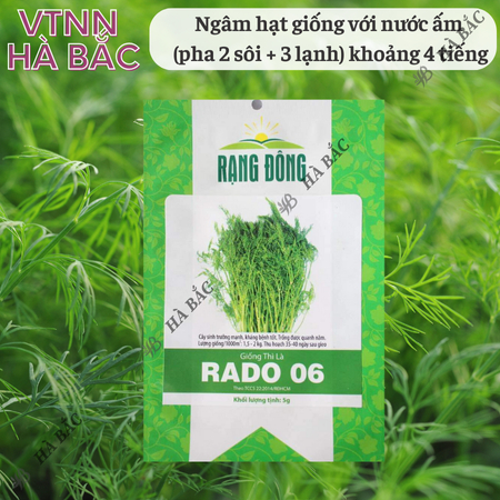 Hạt Giống Thì Là RADO 06 (Gói 5g~2400 Hạt) Rạng Đông, Sinh Trưởng Mạnh, Thu Hoạch Nhiều Lần, Trồng Quanh Năm