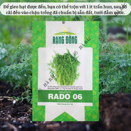 Hạt Giống Thì Là RADO 06 (Gói 5g~2400 Hạt) Rạng Đông, Sinh Trưởng Mạnh, Thu Hoạch Nhiều Lần, Trồng Quanh Năm