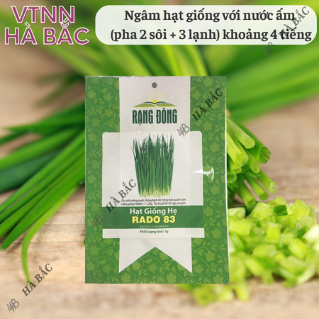Hạt Giống Hẹ Lá RADO 83 (Gói 1g~300 Hạt) Rạng Đông, Giàu Dinh Dưỡng, Nảy Mầm Tốt, Trồng Quanh Năm