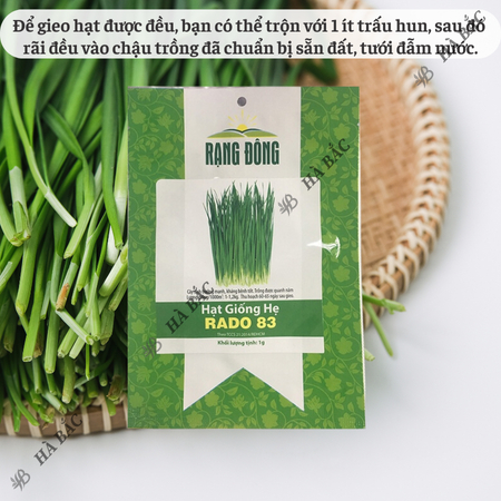 Hạt Giống Hẹ Lá RADO 83 (Gói 1g~300 Hạt) Rạng Đông, Giàu Dinh Dưỡng, Nảy Mầm Tốt, Trồng Quanh Năm