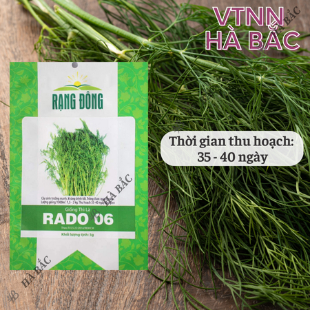 Hạt Giống Thì Là RADO 06 (Gói 5g~2400 Hạt) Rạng Đông, Sinh Trưởng Mạnh, Thu Hoạch Nhiều Lần, Trồng Quanh Năm
