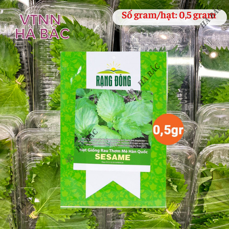 Hạt Giống Rau Thơm Mè Sesame RADO ( Gói 0,5g~100 Hạt) Rạng Đông, Ăn Kèm Đồ Nướng, Lá Thơm, Trồng Quanh Năm