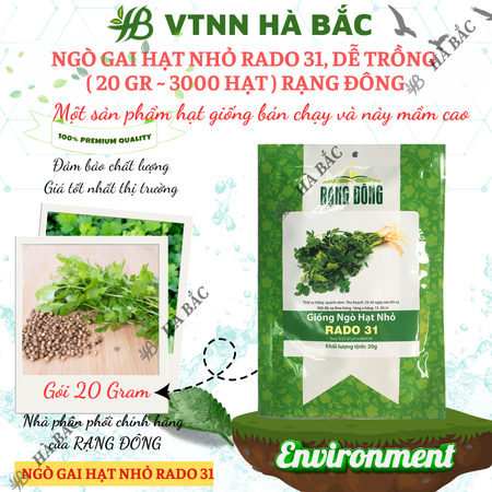 Hạt Giống Ngò Hạt Nhỏ RADO 31 (Gói 20g~3000 Hạt) Rạng Đông, Ngò Rí Dễ Chăm, Kháng Bệnh Tốt, Trồng Quanh Năm