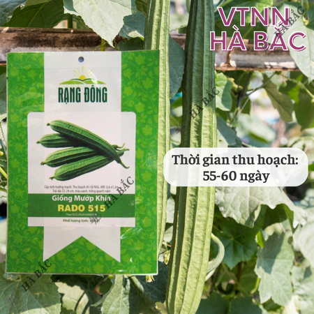 Hạt Giống Mướp Khía RADO 515 (Gói 1g~10 Hạt) Rạng Đông, Nảy Mầm Tốt, Năng Suất Cao, Trái Dài, Trồng Quanh Năm
