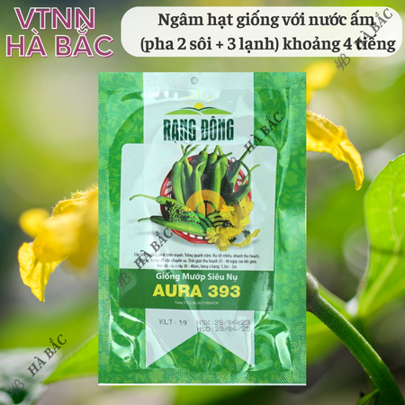 Hạt Giống Mướp Siêu Nụ Aura RADO 393 (Gói 1g~10 Hạt) Rạng Đông, Dễ Chăm Sóc, Nụ Cứng, Dễ Vận Chuyển, Trồng Quanh Năm
