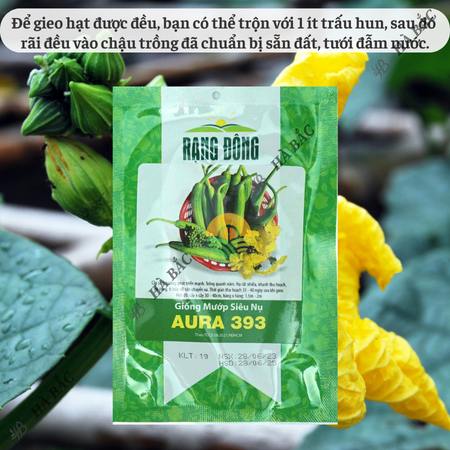 Hạt Giống Mướp Siêu Nụ Aura RADO 393 (Gói 1g~10 Hạt) Rạng Đông, Dễ Chăm Sóc, Nụ Cứng, Dễ Vận Chuyển, Trồng Quanh Năm