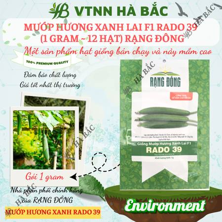 Hạt Giống Mướp Hương Xanh Lai F1 RADO 39 (Gói 1g~12 Hạt) Rạng Đông, Sinh Trưởng Khỏe, Năng Suất Cao, Dễ Chăm Sóc