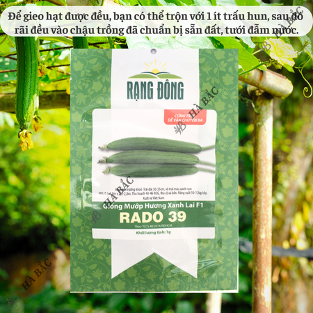 Hạt Giống Mướp Hương Xanh Lai F1 RADO 39 (Gói 1g~12 Hạt) Rạng Đông, Sinh Trưởng Khỏe, Năng Suất Cao, Dễ Chăm Sóc