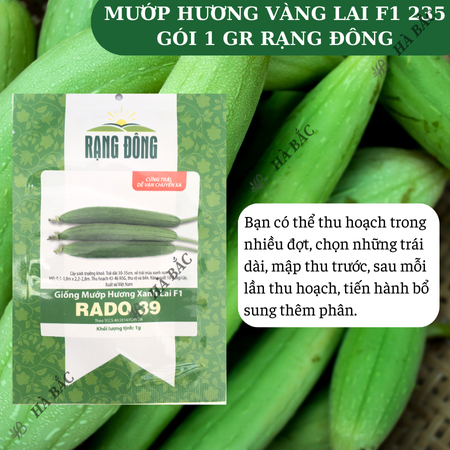 Hạt Giống Mướp Hương Xanh Lai F1 RADO 39 (Gói 1g~12 Hạt) Rạng Đông, Sinh Trưởng Khỏe, Năng Suất Cao, Dễ Chăm Sóc